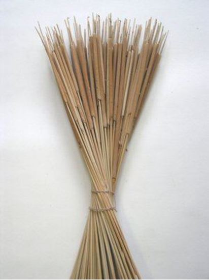 Obrázok z Typha pencil (Reed spadix pencil)) - prírodný (100ks)