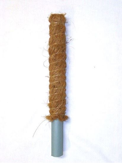 Picture of Tyč kokosová 40 cm, Ø 32 mm