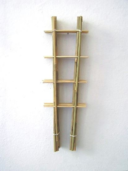 Obrázek z Žebřík bambusový 45 cm - BALENÍ 10ks 