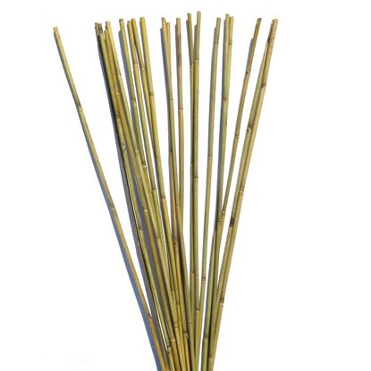 Obrázok z Tyč bambusová 60 cm, 6-8 mm