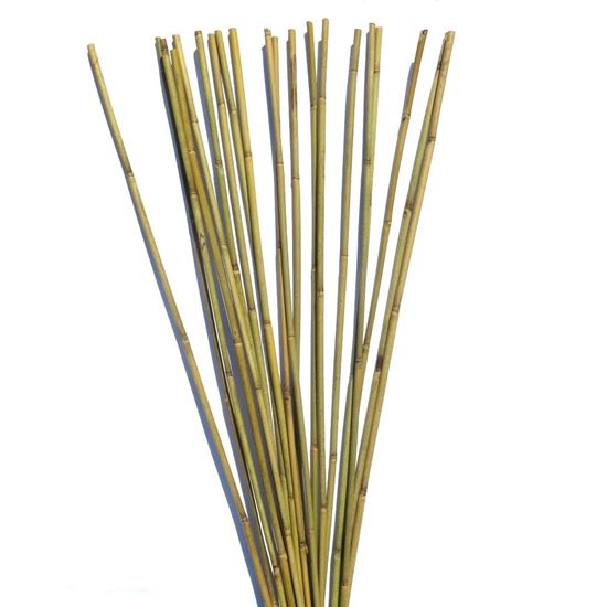 Picture of Tyč bambusová 210 cm, 14-16 mm