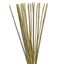 Obrázek Tyč bambusová 300 cm, 30-35 mm