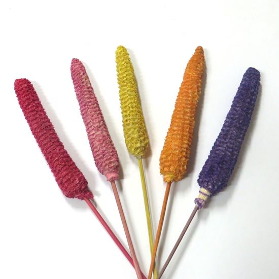 Picture of Maize fruit - barevné, na stonku (5ks)