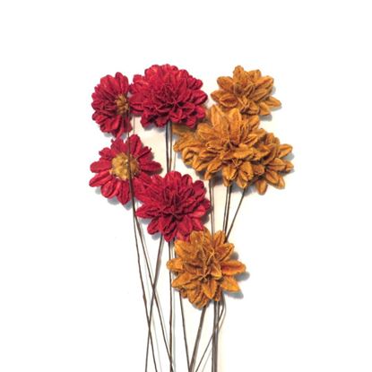 Obrázek Arjun flower - barevná, na stonku (10 ks)