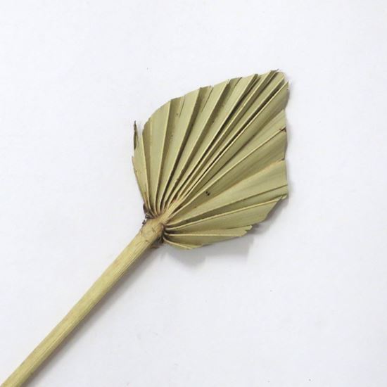 Obrázek z Palm spear small - přírodní (10ks) 
