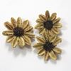 Obrázok z Arjun sunflower - farebná (25ks)