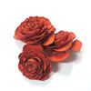 Obrázek z Cedar rose - barevná (25ks) 