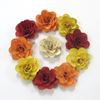 Obrázek z Deco růže střední - barevná (50ks) 