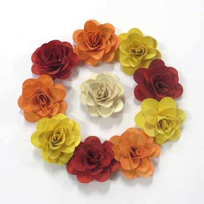 Obrázok z Deco ruža stredná - farebná (50ks)