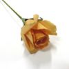 Obrázek z Deco růže - oranžová (5ks) 