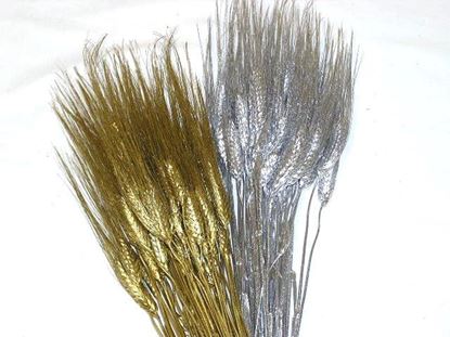 Obrázek Grano triticum (pšenice) - zlatá, stříbrná (svazek)