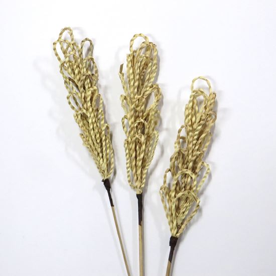 Obrázek z Palm cord flower - přírodní, na stonku (10ks) 