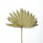 Picture of Palm sun spear small - přírodní (10ks)