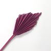 Obrázok z Palm spear small - farebný (10ks)