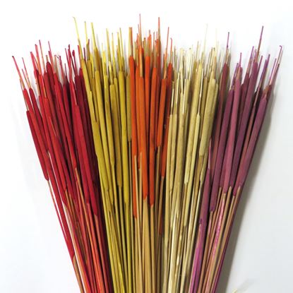 Obrázek Typha pencil (Reed spadix pencil) - barevný (100ks)